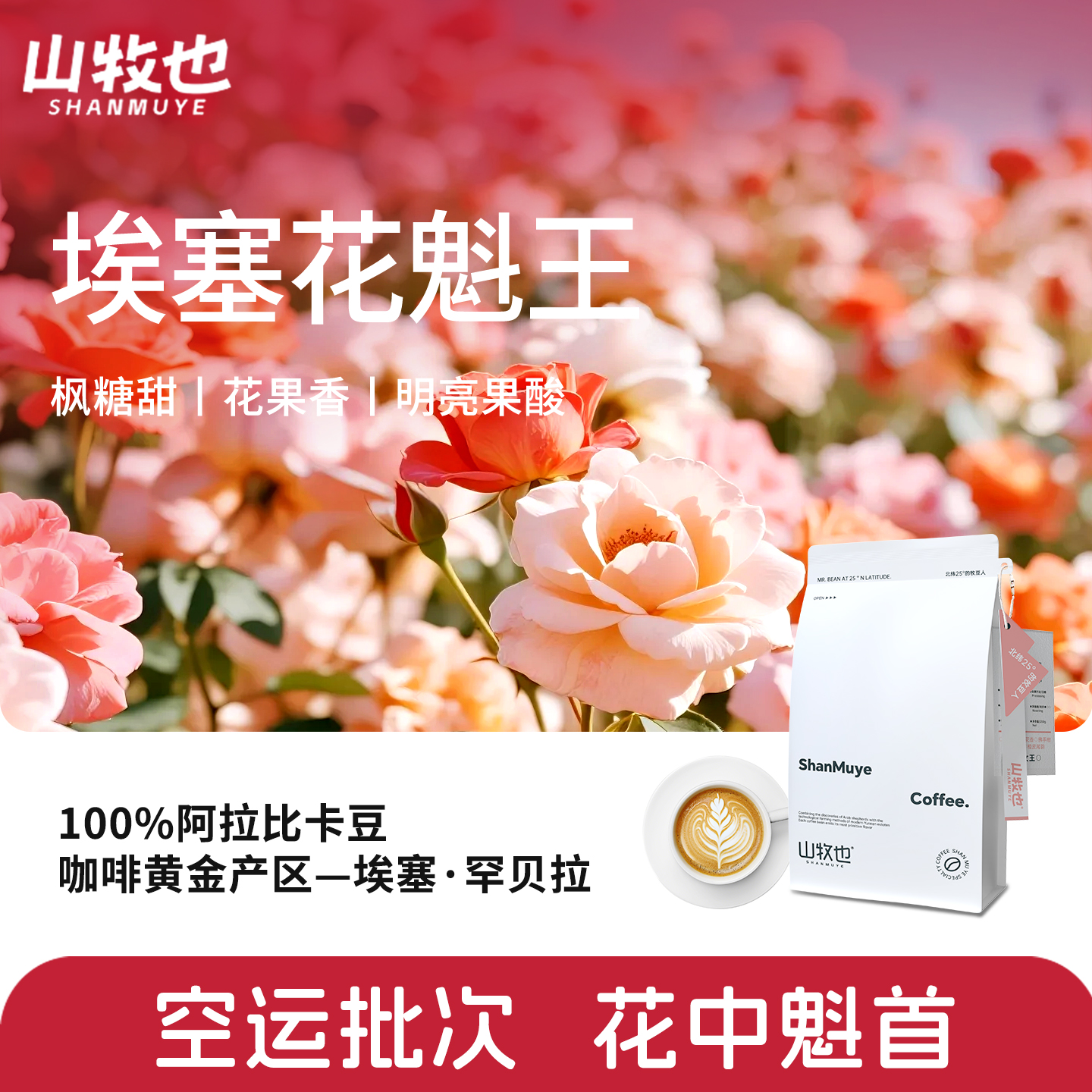 全新产季埃塞花魁G1品质