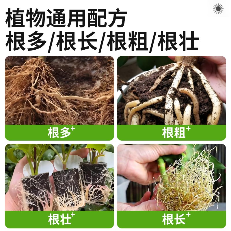 植物生根粉树木壮苗生根剂扦插移栽多肉苗木花卉强力生根粉
