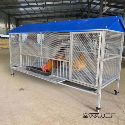 室外尖顶鸡笼鸽笼加密孔防黄鼠狼防老鼠不生锈可拆卸鸡笼养殖笼
