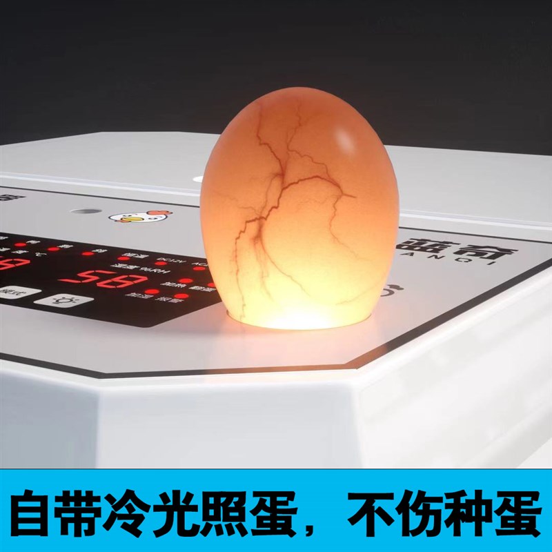 孵化机孵蛋器孵化器小型家用型全自动智能小鸡鸭鹅鸽鹌鹑孵化箱