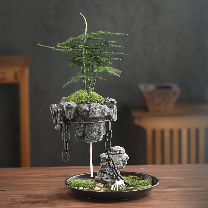 铁艺悬挂式创意植物盆栽禅意摆件文竹铁树铁链悬浮景观微家居盆景