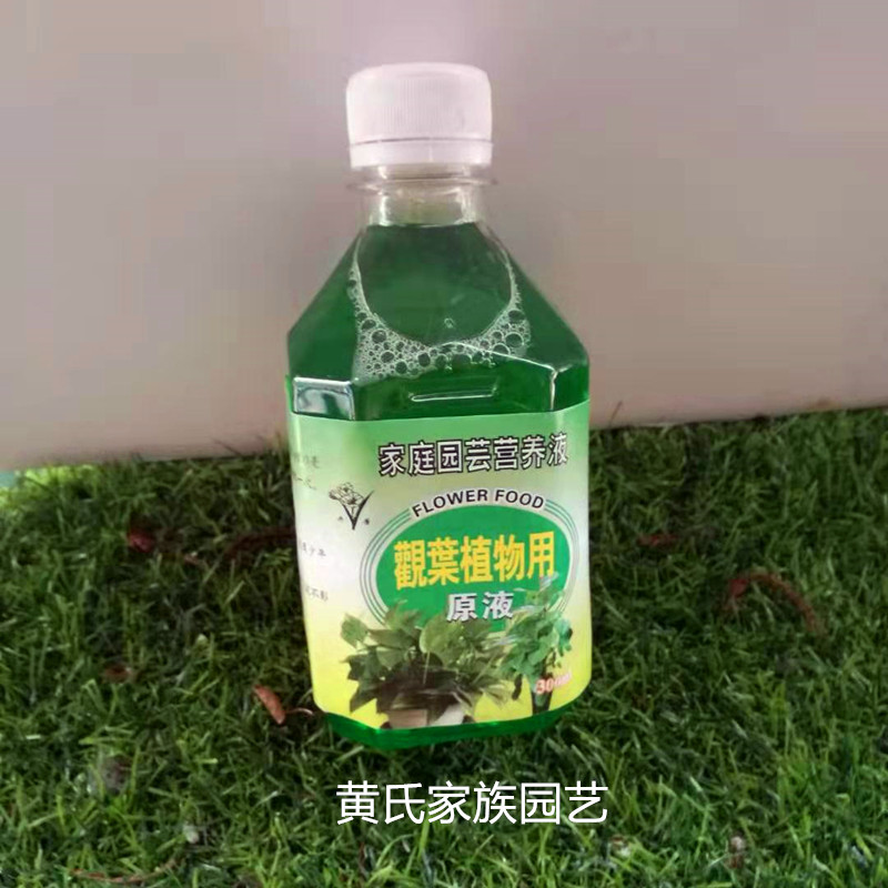 花肥植物生长营养液家用养花种菜适合水培土栽花卉多肉包邮
