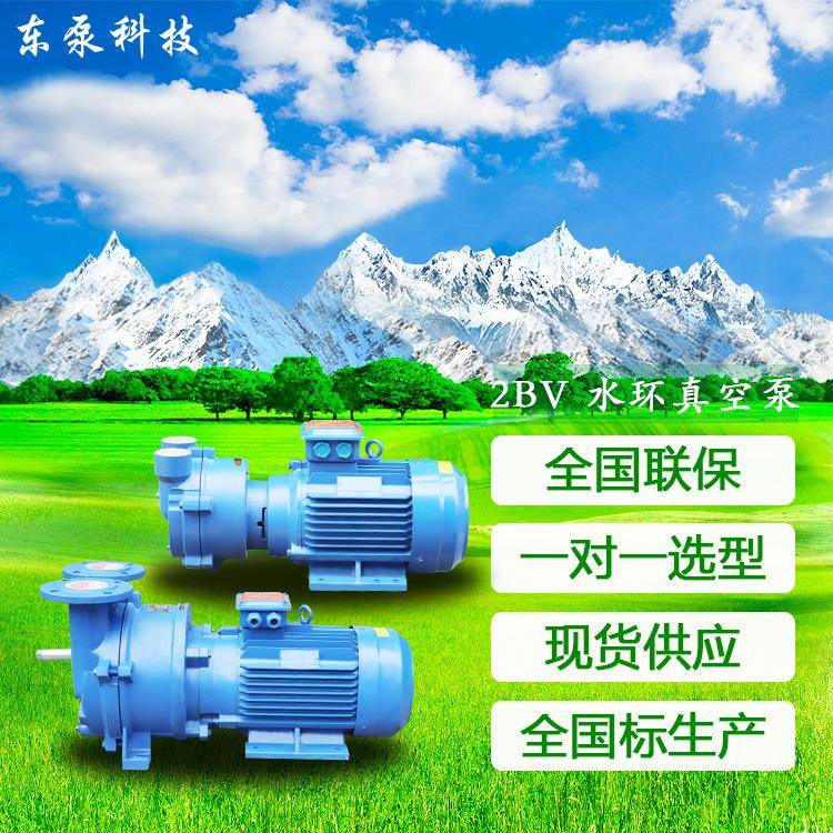 山东东泵卧式2BV水环真空泵全国联保fang爆真空泵直连式真空泵