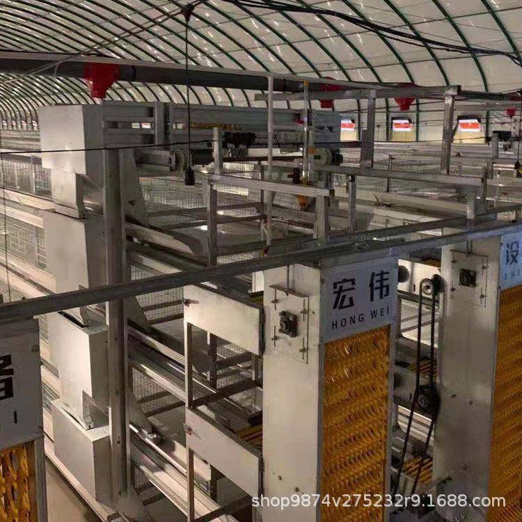 养鸡场喂料投入小型饲料自动投喂机养鸡自动投料机厂家喂料设备