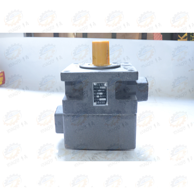 M7130 M7132 M7140平面J磨床YB1-100叶片泵