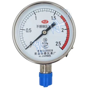 1.6 2.5MPA 1.0 不锈钢Y100压力表高温蒸汽表气压0