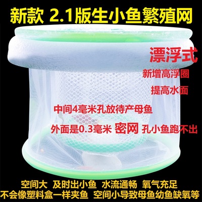 21年新版孔雀鱼斗鱼繁殖网密网小鱼隔离盒鱼缸孵化盒繁殖盒隔离网