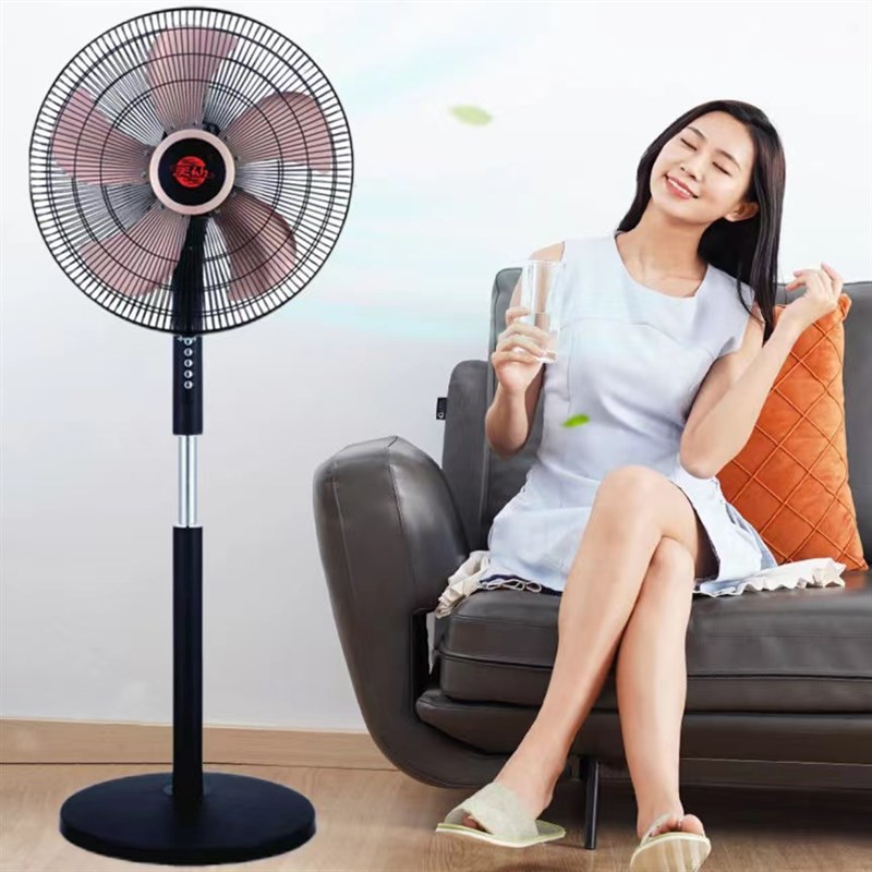 天仙牌电风扇落地扇家用静音大风力循环工业电机纯铜摇头立式电扇
