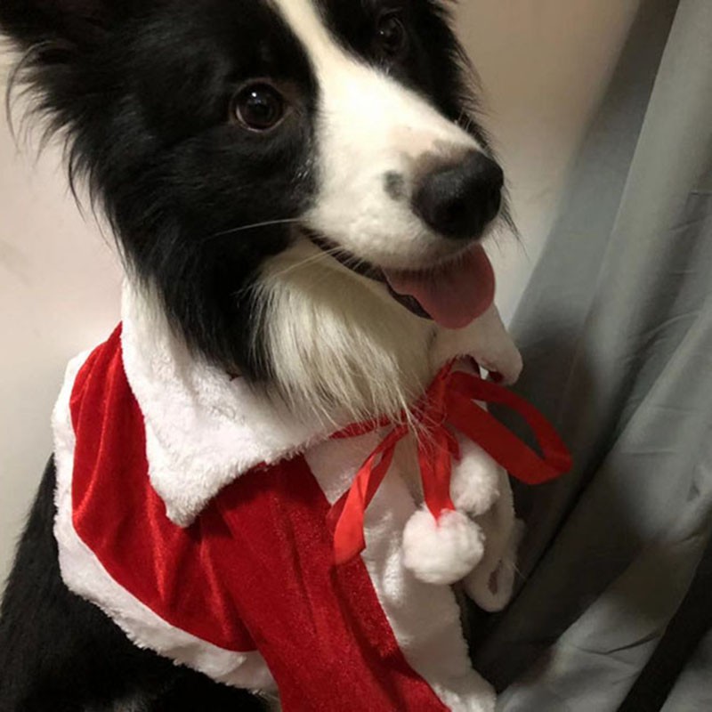 万圣节秋冬宠物圣诞披肩金毛萨摩巨贵大型犬边牧披风秋田犬狗斗篷