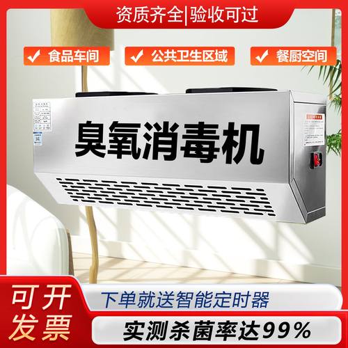 壁挂式臭氧发生器空气净