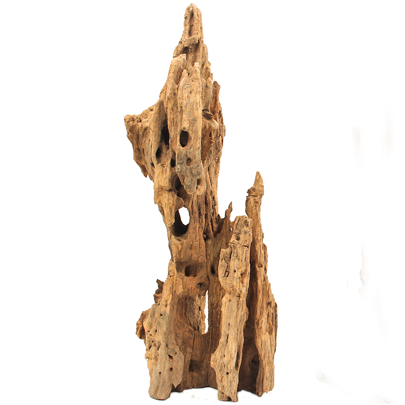 虾木蜂窝木鱼缸造景水沉木天然躲避木大型树洞树桩流木繁殖虾窝屋