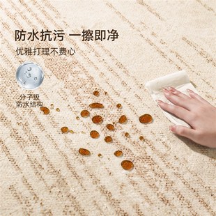 地毯客厅奶油风免洗可擦卧室床边毛绒地垫沙发家用防水大面积全铺