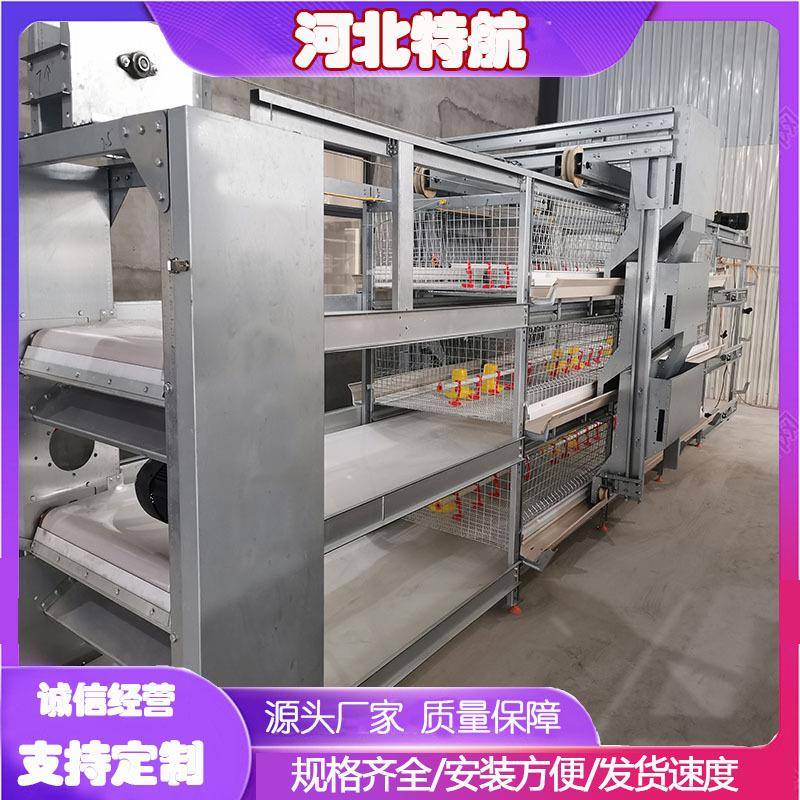 肉鸡框架笼全自动新型热镀锌自动传送带清粪带全套鸡笼设备工厂