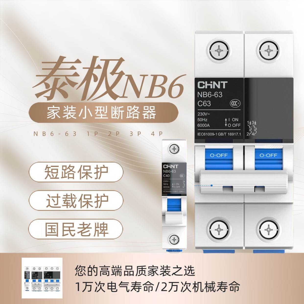 正泰泰极NB6空气开关2P总电闸开关断电保护器小型断路器空开家用