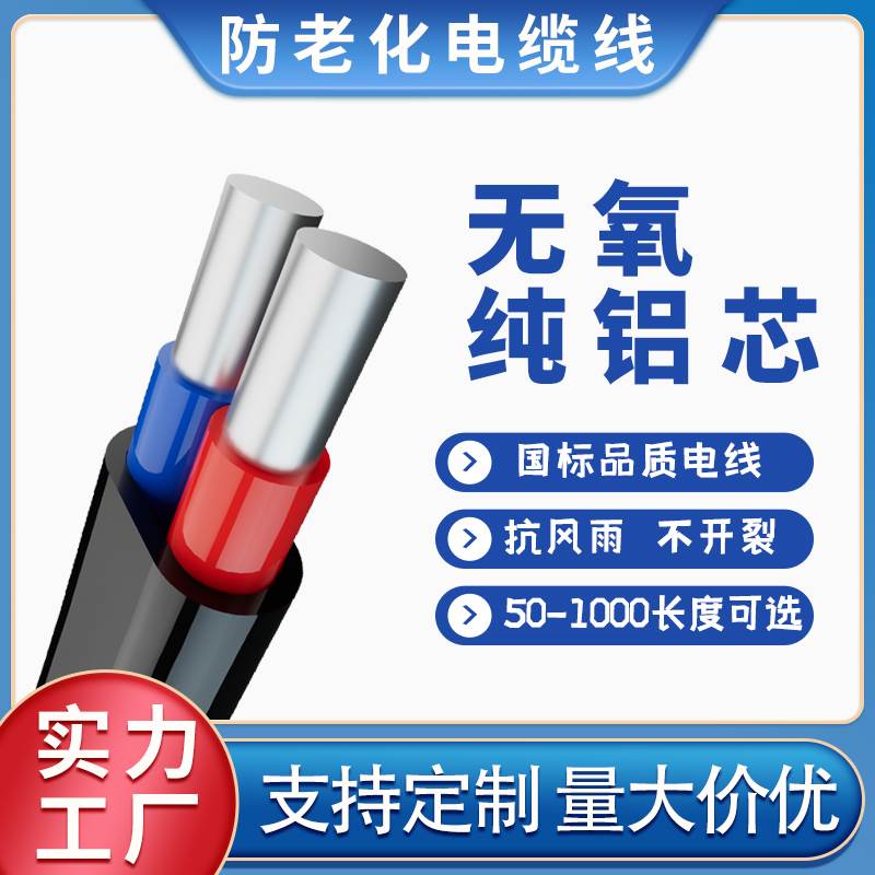 国标2芯护套线 线铝芯家用户外电线 线4 6 10 16 25平方线 线双芯