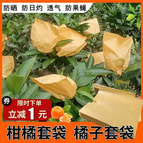 柑橘橘子专用套袋橙子包橘子纸袋耙耙柑春见柑桔保护防晒防冻果