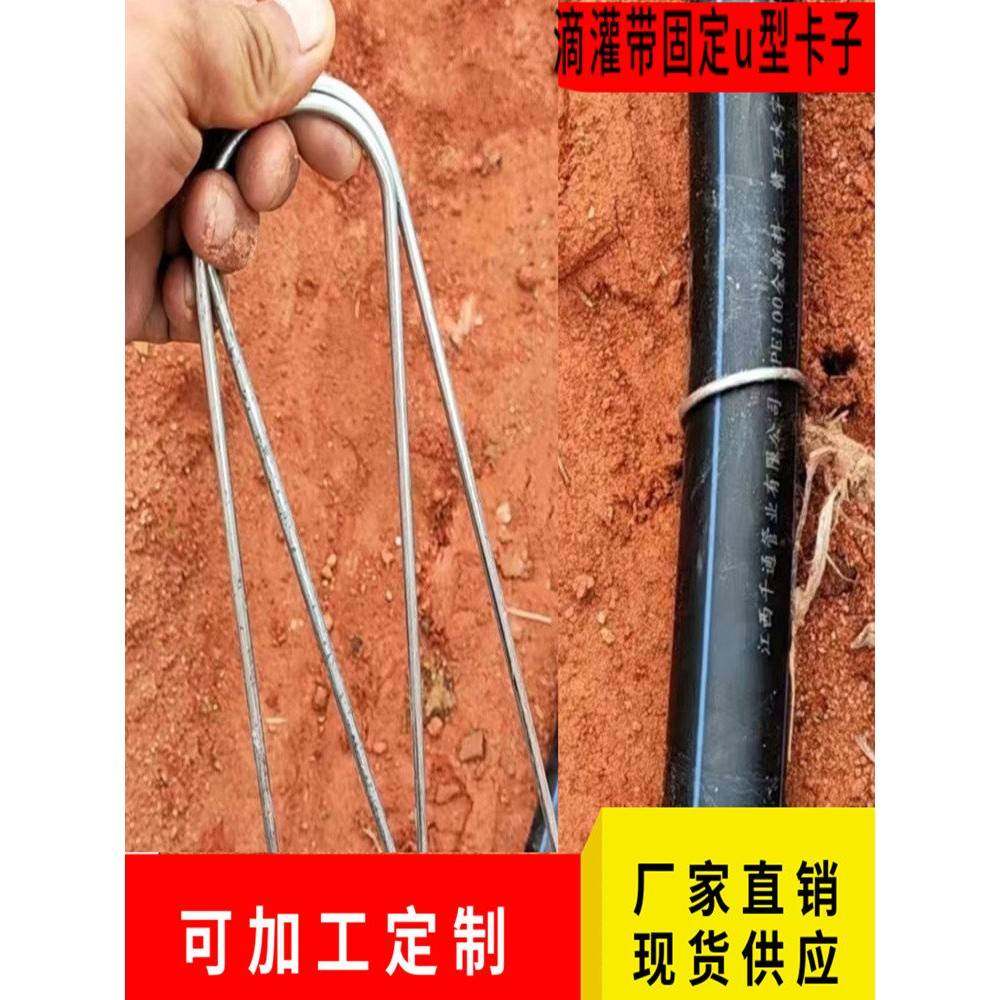 滴灌带卡子微喷管固定器地钉加粗镀锌草坪大棚实用园艺 厂家直销