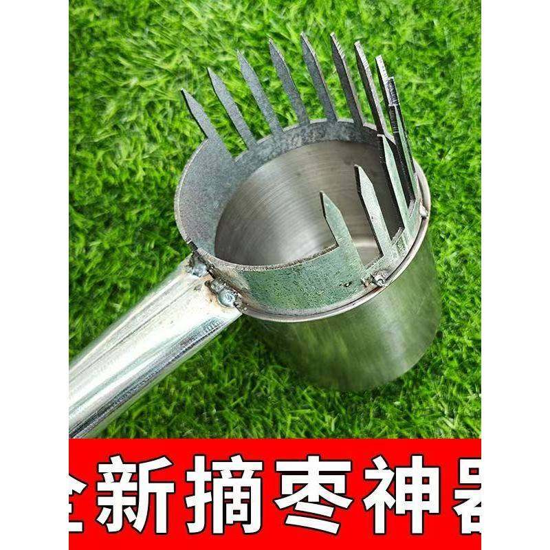 加厚新款酸枣不锈钢摘果器采果山枣柏树神器小枣工具