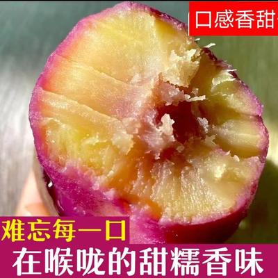 正宗广州南沙一点红番薯新