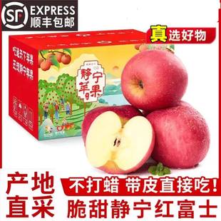 顺丰甘肃静宁红富士苹果冰糖心旗舰店苹果一级大果新鲜彩箱