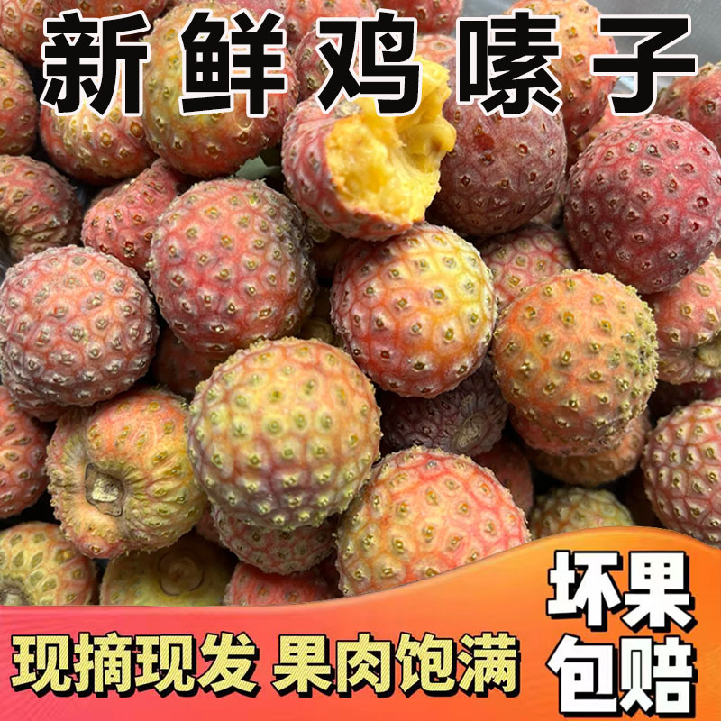 顺丰云南鸡嗉子果当季新鲜水果香甜山荔枝覆盆果高山四照花非野生