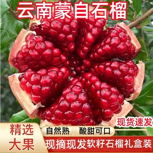 現摘大紅寶石酸甜無籽軟籽石榴 現貨云南蒙自石榴新鮮水果禮盒當季
