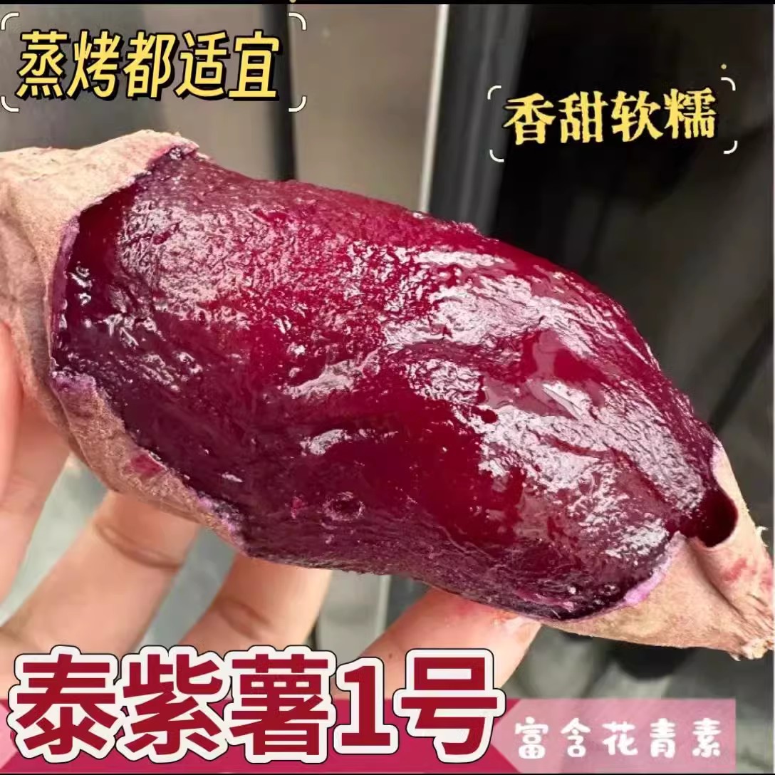 山东正宗高端紫薯美人泰一