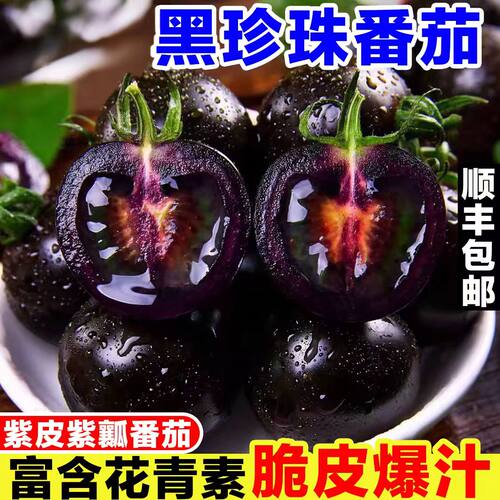 山东寿光努黑番茄花青素水
