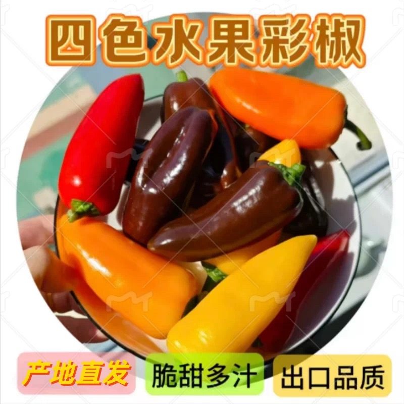 新鲜迷你水果巧克力彩椒五彩甜椒生吃红灯笼小辣椒做沙拉蔬菜现摘,水产肉类/新鲜蔬果/熟食,辣椒,淘宝优惠券,粉丝福利购,淘宝优惠卷