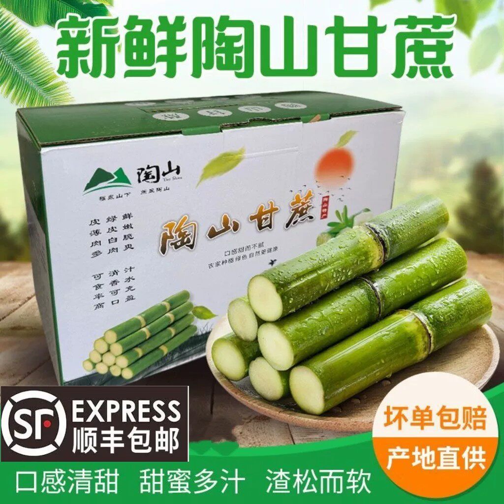 正宗陶山青皮甘蔗现砍现发新鲜水果手撕果蔗脆甘蔗5斤礼盒装顺丰