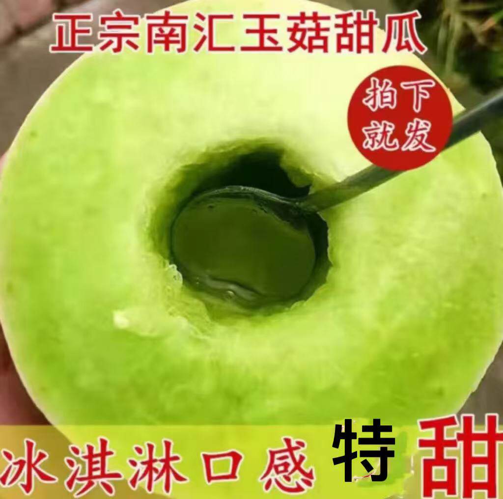 上海南汇白玉菇甜瓜新鲜水果当季冰淇淋新玉姑甜瓜玉茹玉谷蜜香瓜