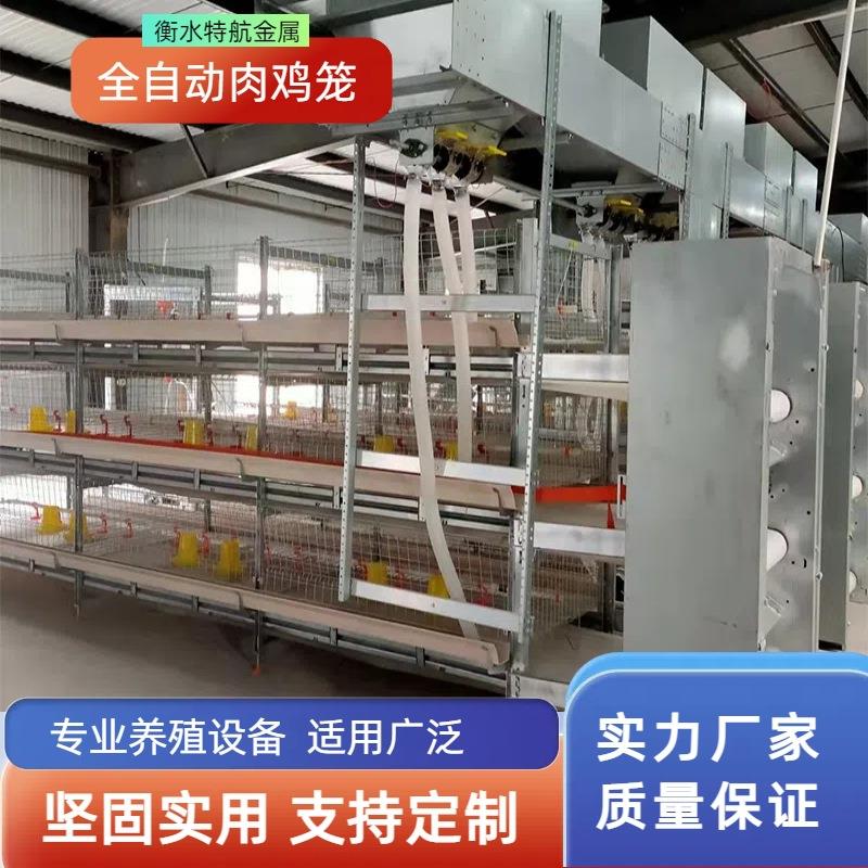 自动化元宝型肉鸡笼框架式养鸡设备肉鸡笼养殖场鸡舍养鸡笼