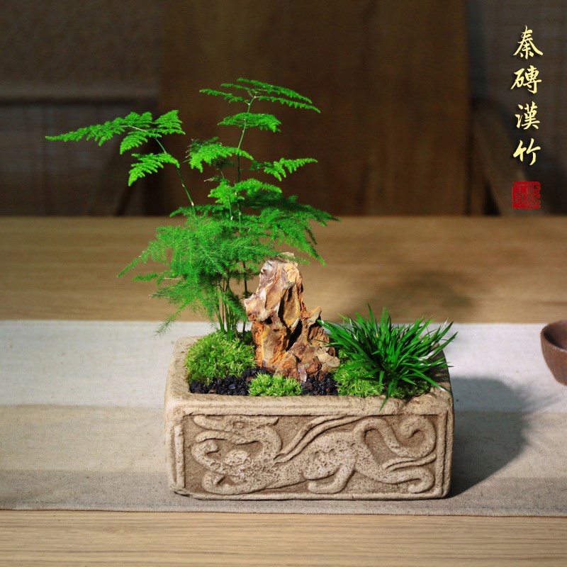 中国风古典禅意花盆仿汉砖水泥花盆茶垫茶托菖蒲陶瓷粗陶紫砂花盆