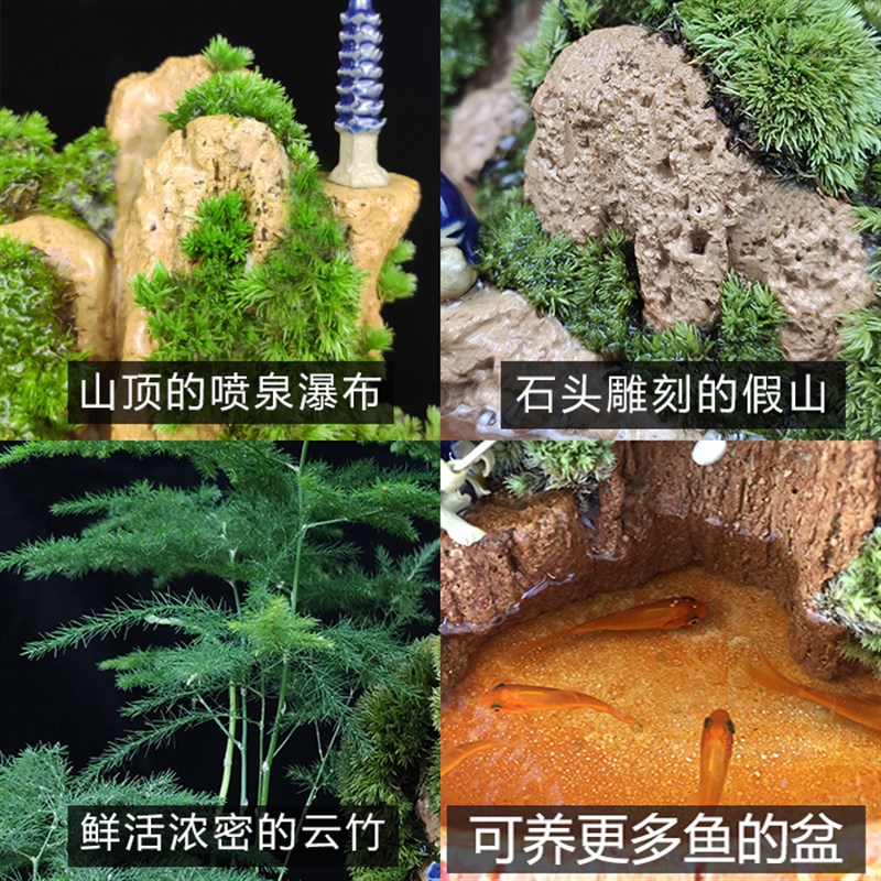 吸水石假山盆景小摆件上水石植物奇石头原天然室内中大型山水造景