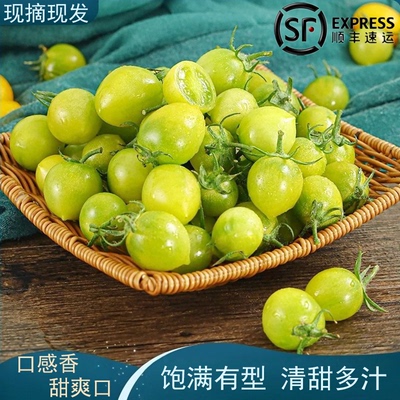 正宗青甜2号小番茄新鲜现摘现发当季水果甜即食青口蜜绿色小柿子