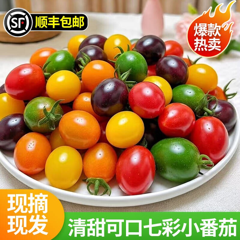 山东七彩小番茄新鲜现摘现发彩色小柿子清甜多汁圣女果混合装水果