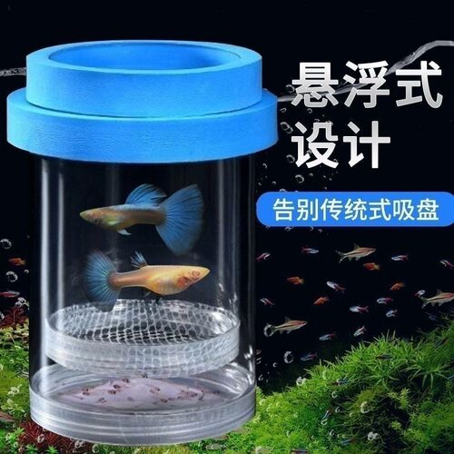 鱼缸孵化盒孔雀鱼繁殖隔离盒小型