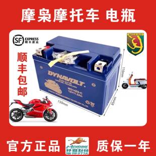 摩枭摩托车电瓶500rr英伦玛莎150魔枭500MG 650LS 12v启动蓄电池