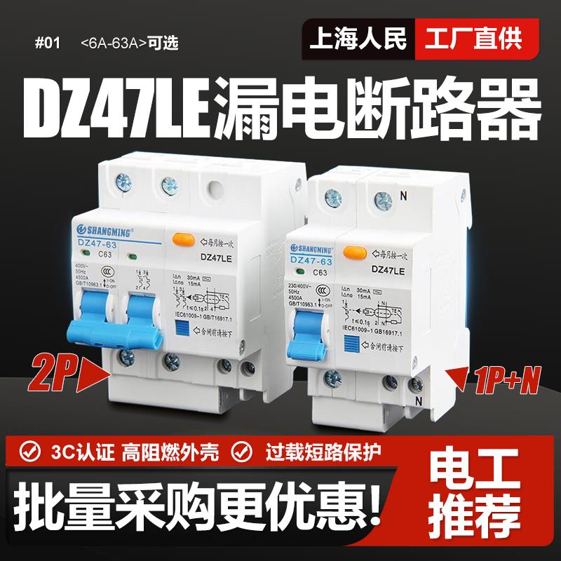 DZ47LE-63A小型漏电开关断路器2p3p 220V380v漏电总闸家用保护器