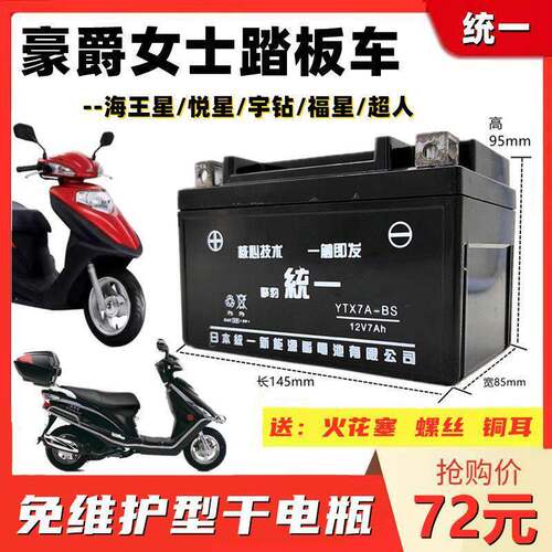 HJ女士踏板机车宇钻海王星125统一免维护蓄电池12V7A干电瓶