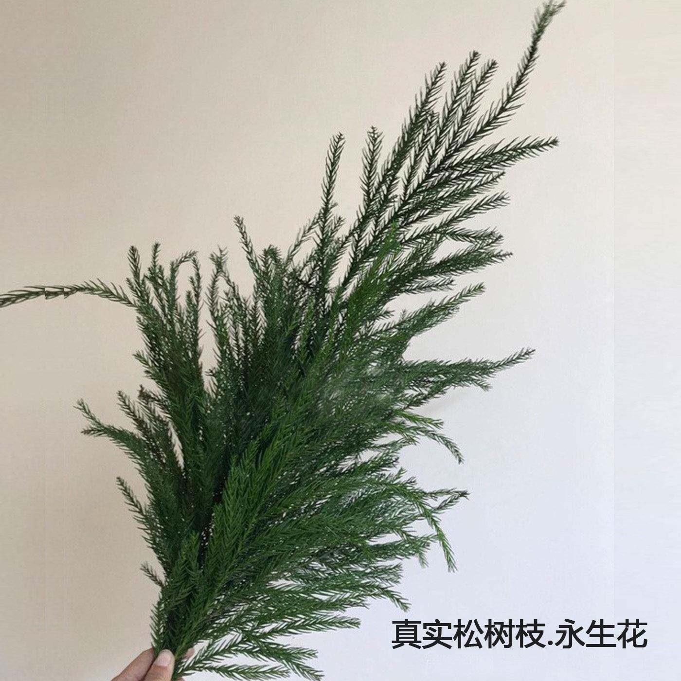 天然松树枝叶干花包天竺少女永生花圣诞花环花盒手工材料填充物