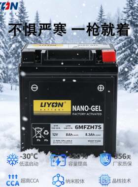 力扬电池无极原厂150/250GT/300/500RR/CU525/650AC通用摩托电瓶