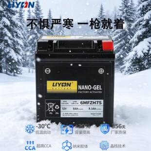 力扬电池无极原厂150/250GT/300/500RR/CU525/650AC通用摩托电瓶