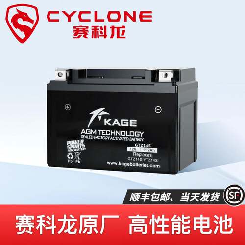 赛科龙RX1 RX1S RA2 RT2 RX4 RZ3S RG3 RE3 RT3 RC401摩托12V电瓶