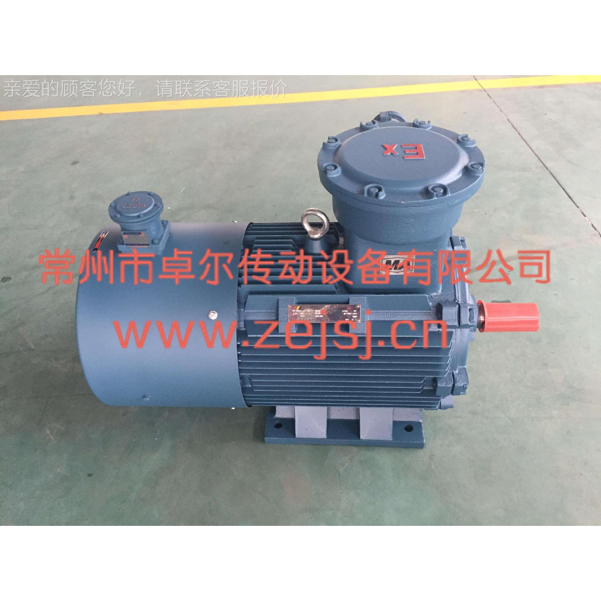 厂家直供 稀土同永永磁三相电动机 稀步土磁同步电机