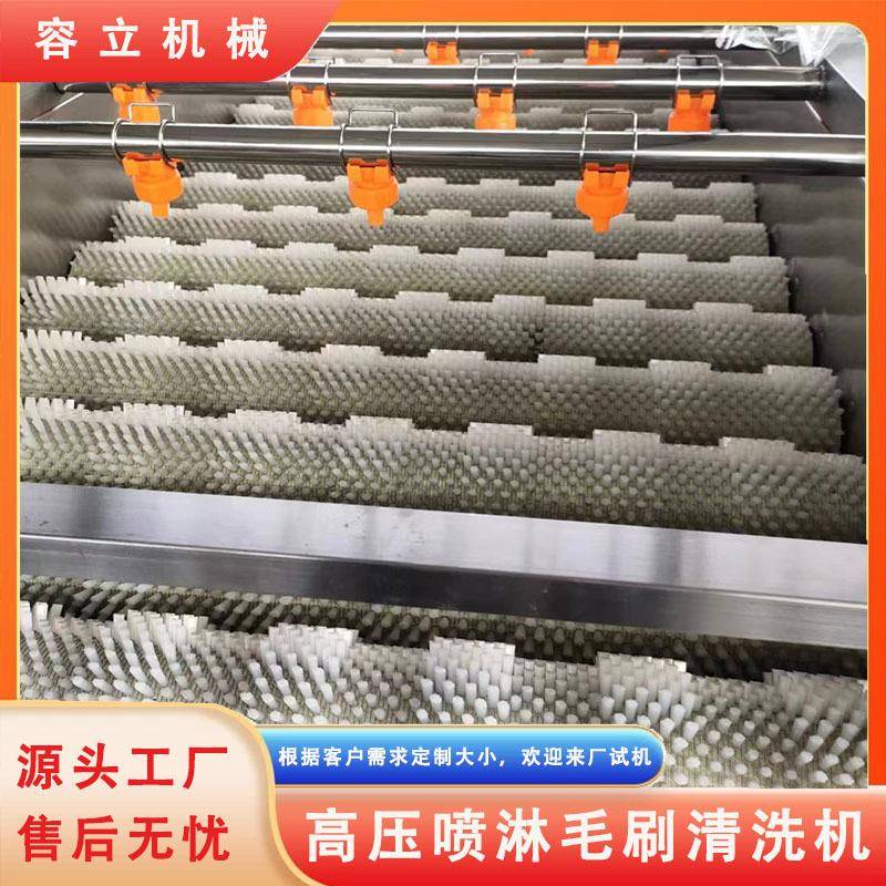 马蹄平行毛刷清洗机辊刷式百香果柠檬橙子清洗去杂机苹果打蜡机