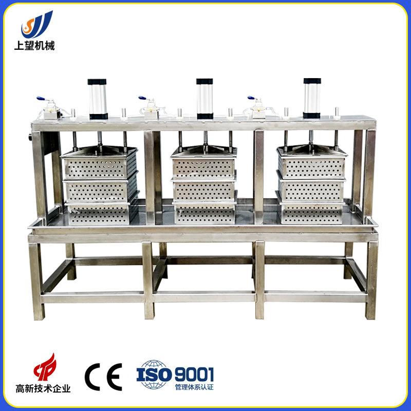 工厂直销奶酪压榨机奶酪成型机奶酪生产设备实用食品级自制全自动