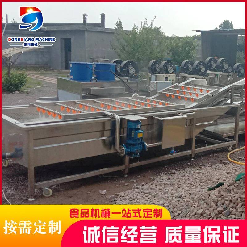 果蔬气泡清洗机全自动不锈钢洗菜机梅干菜自动喷淋清洗机