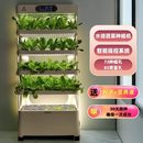 智能無土栽培設備水耕水培蔬菜種植機家庭室內植物工廠立體種菜架