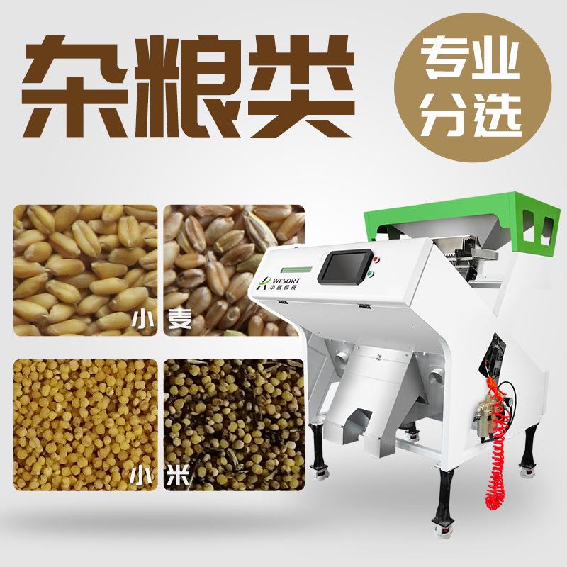 微型色选机一机多选杂粮小米去石去梗厂家包安装简单小型色选机